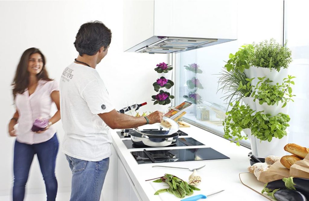 Kräutergarten in der Küche, ein junges Paar  vor einem E-Herd
